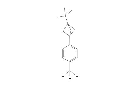 1-{3'-[(t-Butyl)bicyclo[1.1.1]pent-1'-yl]-4-(trifluoromethyl)benzene