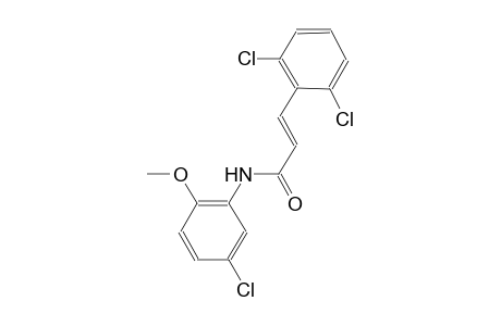 (2E)-N-(5-chloro-2-methoxyphenyl)-3-(2,6-dichlorophenyl)-2-propenamide