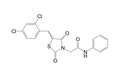2-[5-(2,4-Dichlorobenzylidene)-2,4-dioxothiazolidin-3-yl]-N-phenylacetamide