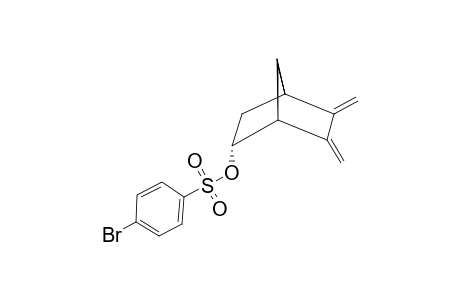 5-ENDO-(PARA-BROMBENZOLSULPHOXY)-2,3-DIMETHYLENNORBORNAN