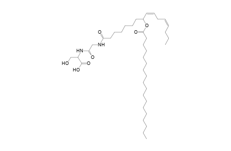 NAGlySer 18:0/16:2
