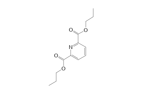 PDCPE;DIPROPYL-2,6-PYRIDINEDICARBOXYLATE