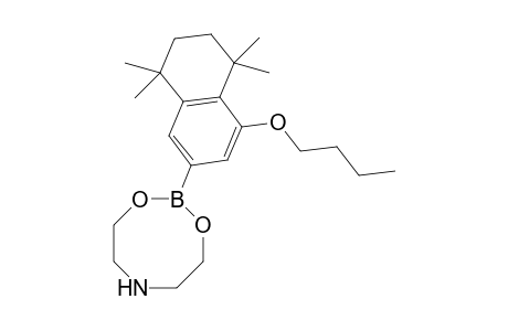 2-(4-Butoxy-5,5,8,8-tetramethyl-5,6,7,8-tetrahydronaphthalen-2-yl)-1,3,6,2-dioxazaborocane