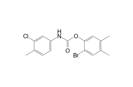 3-chloro-4-methylcarbanilic acid, 6-bromo-3,4-xylyl ester