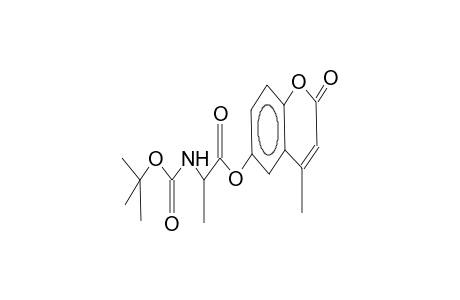 tert-butyl N-[1-(4-methyl-6-coumarinyl)ethyl]carbamate