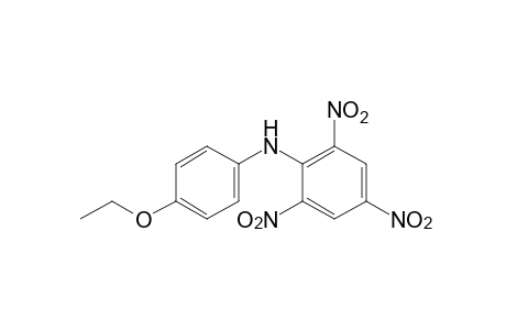 N-picryl-p-phenetidine