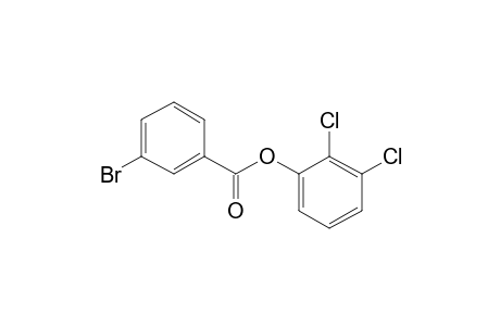 3-Bromobenzoic acid, 2,3-dichlorophenyl ester