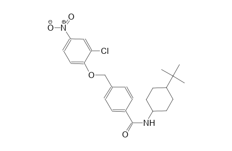 N-(4-tert-butylcyclohexyl)-4-[(2-chloro-4-nitrophenoxy)methyl]benzamide