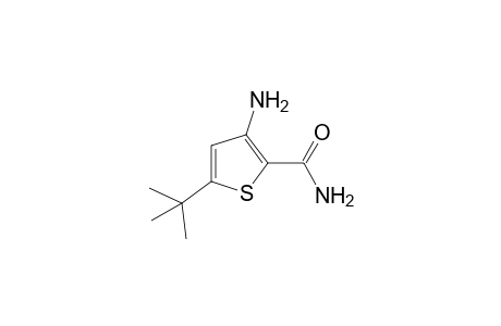 3-amino-5-tert-butyl-2-thiophenecarboxamide