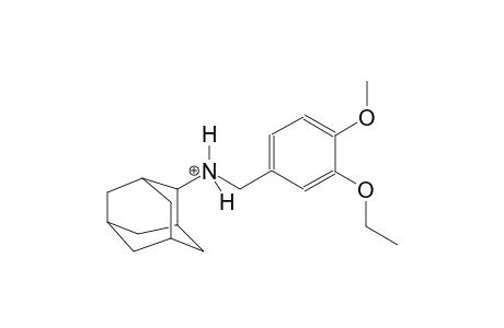 N-(3-ethoxy-4-methoxybenzyl)-2-adamantanaminium