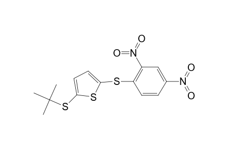 2-(tert-Butylsulfanyl)-5-[(2,4-dinitrophenyl)sulfanyl]thiophene