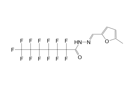 2,2,3,3,4,4,5,5,6,6,7,7,7-tridecafluoro-N'-[(E)-(5-methyl-2-furyl)methylidene]heptanohydrazide