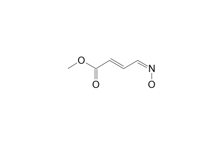 (E,4Z)-4-hydroximinobut-2-enoic acid methyl ester