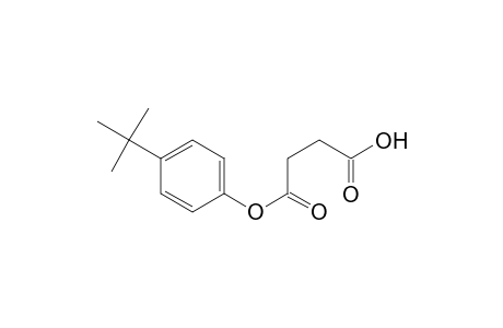 Butanedioic acid, mono[4-(1,1-dimethylethyl)phenyl] ester