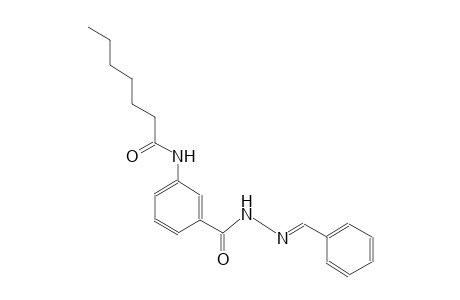 benzoic acid, 3-[(1-oxoheptyl)amino]-, 2-[(E)-phenylmethylidene]hydrazide