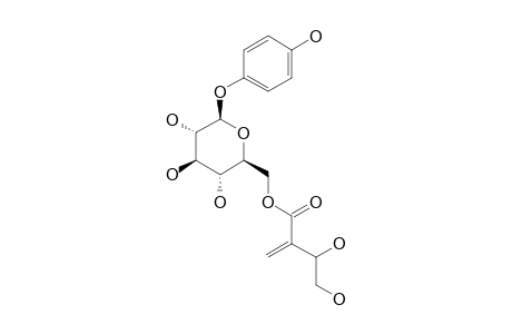 4-HYDROXYPHENYL-6-O-[(3R)-3,4-DIHYDROXY-2-METHYLENEBUTANOYL]-BETA-D-GLUCOPYRANOSIDE