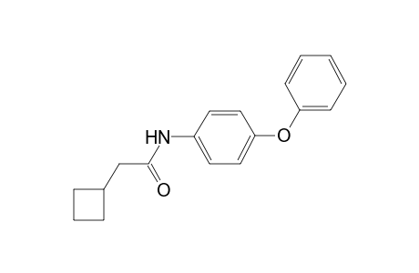 2-Cyclobutyl-N-(4-phenoxyphenyl)acetamide