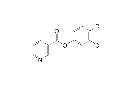 Nicotinic acid, 3,4-dichlorophenyl ester