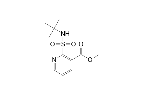 3-Pyridinecarboxylic acid, 2-[[(1,1-dimethylethyl)amino]sulfonyl]-,methyl ester