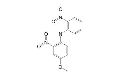 (4-METHOXY-2-NITROPHENYL)-(2'-NITROPHENYL)-AMINE