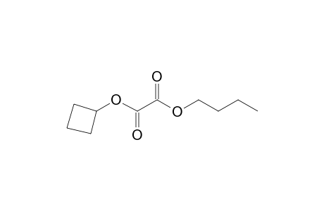 Oxalic acid, butyl cyclobutyl ester