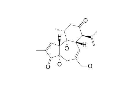 NEOSTELLERIN