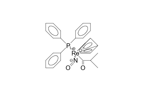 /.eta.-5/-Cyclopentadienyl-nitroso-triphenylphosphino-(1-oxo-2-methyl-propyl) rhenium
