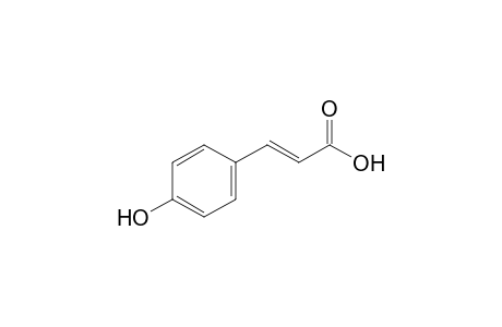 trans-p-HYDROXYCINNAMIC ACID