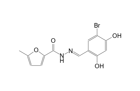 N'-[(E)-(5-bromo-2,4-dihydroxyphenyl)methylidene]-5-methyl-2-furohydrazide