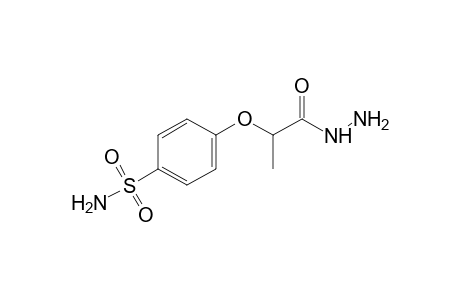2-(p-sulfamoylphenoxy)propionic acid, hydrazide