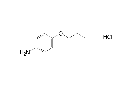 p-sec-butoxyaniline, hydrochloride