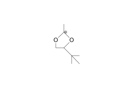 4-tert-Butyl-2-methyl-1,3-dioxolan-2-ylium cation