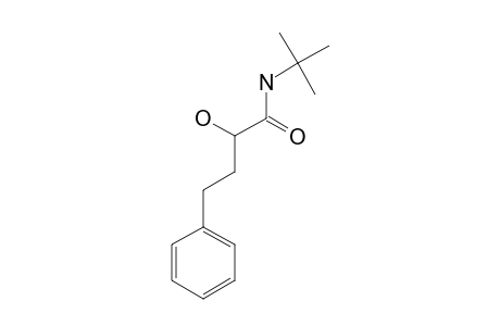 (+/-)-N-TERT.-BUTYL-2-HYDROXY-4-PHENYLBUTAMIDE