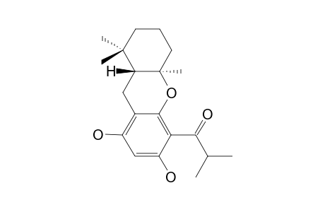 EMPETRIFERDINAN_A;1-[(4A-R*,9A-R*)-6,8-DIHYDROXY-1,1,4A-TRIMETHYL-2,3,4,4A,9,9A-HEXAHYDRO-1-H-XANTHEN-5-YL]-2-METHYLPROPAN-1-ONE