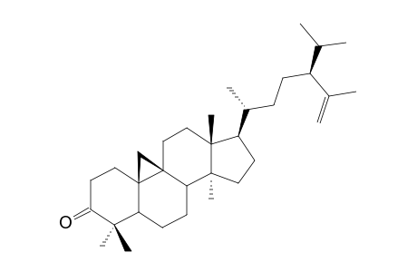 TILLANDSINONE;(24S)-24-ISOPROPENYLCYCLOARTAN-3-ONE