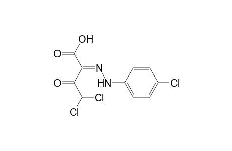 Butanoic acid, 4,4-dichloro-2-[(4-chlorophenyl)hydrazono]-3-oxo-