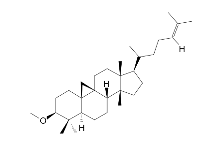 CYCLOARTENOL,3-METHYLETHER