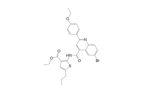 ethyl 2-({[6-bromo-2-(4-ethoxyphenyl)-4-quinolinyl]carbonyl}amino)-5-propyl-3-thiophenecarboxylate