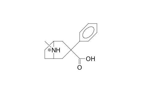 3a-Phenyl-tropane-3b-carboxylic acid, N-cation