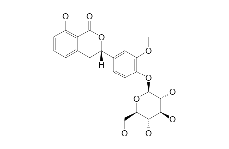 3R-THUNBERGINOL-I-4'-O-GLUCOPYRANOSIDE;3R-(3'-O-METHOXY-4'-O-BETA-D-GLUCOPYRANOSYLPHENYL)-8-HYDROXYDIHYDROISOCOUMARIN