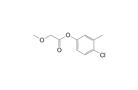 2-Methoxyacetic acid, 3-methyl-4-chlorophenyl ester