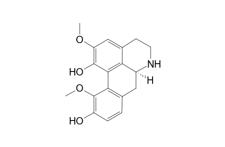 Nor-isocorytuberine
