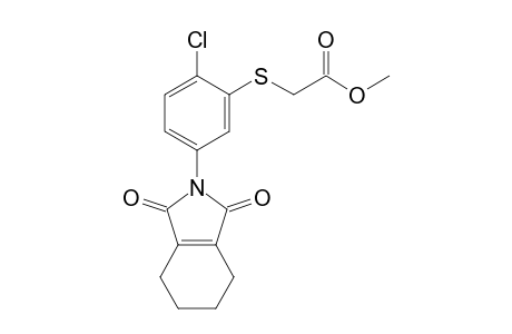 Acetic acid, [[2-chloro-5-(1,3,4,5,6,7-hexahydro-1,3-dioxo-2H-isoindol-2-yl)phenyl ]thio]-, methyl ester
