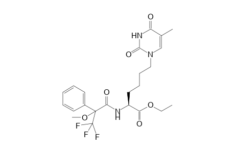 Ethyl (2S)-Amino-6-(1-thyminyl)hexanoate (S)-MTPA amide