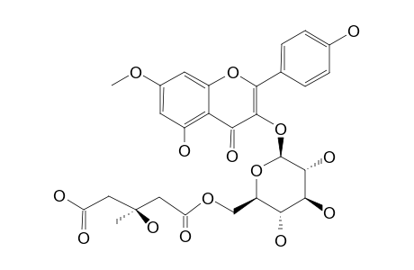 RHAMNOCITRIN-3-O-[(S)-3-HYDROXY-3-METHYL-GLUTAROYL-(1->6)]-BETA-D-GLUCOPYRANOSIDE