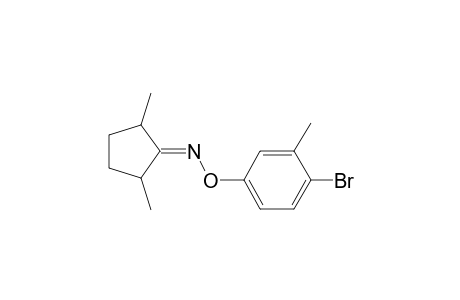 1-(2,5-Dimethylcyclopentylideneamino)oxy-4-bromo-3-methylbenzene