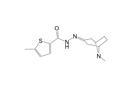 5-methyl-N'-(8-methyl-8-azabicyclo[3.2.1]oct-3-ylidene)-2-thiophenecarbohydrazide