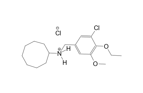 N-(3-chloro-4-ethoxy-5-methoxybenzyl)cyclooctanaminium chloride