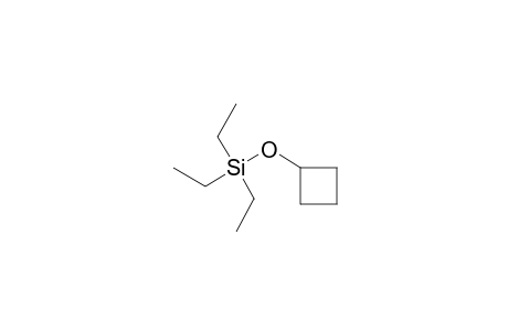 (Cyclobutyloxy)(triethyl)silane