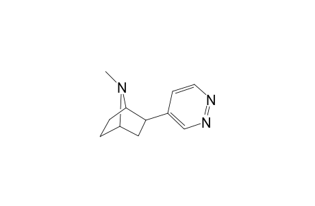 7-methyl-3-(4-pyridazinyl)-7-azabicyclo[2.2.1]heptane